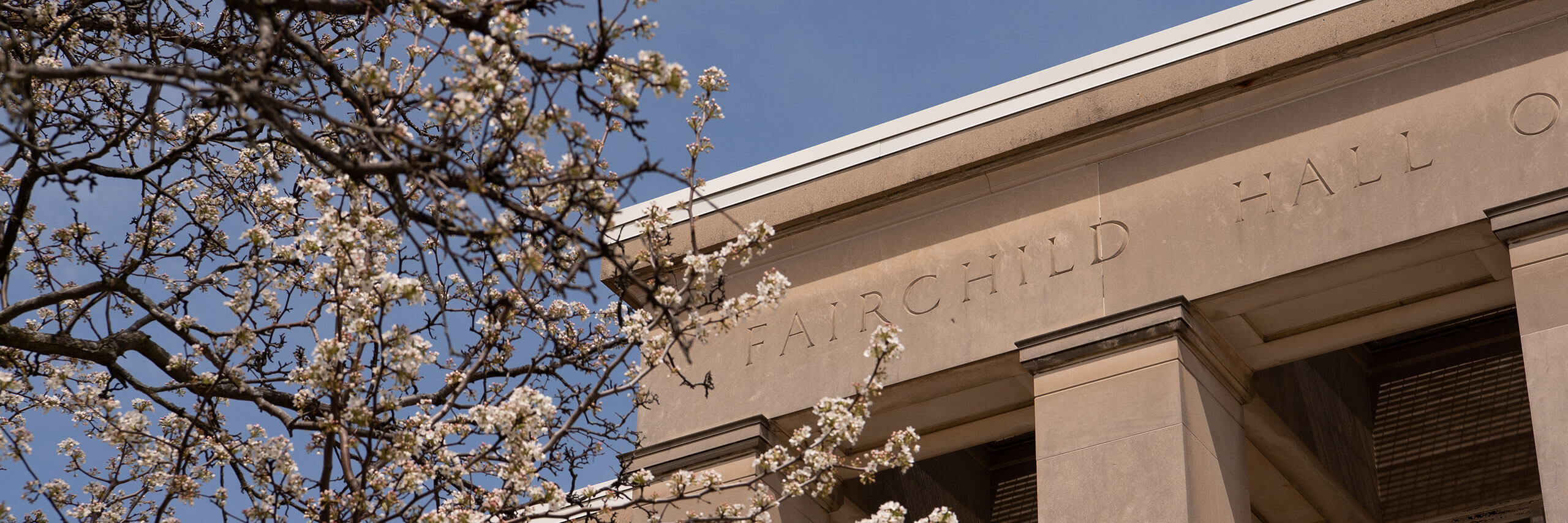 Building facade with 'Fairchild Hall' engraved, set behind blossoming tree branches.